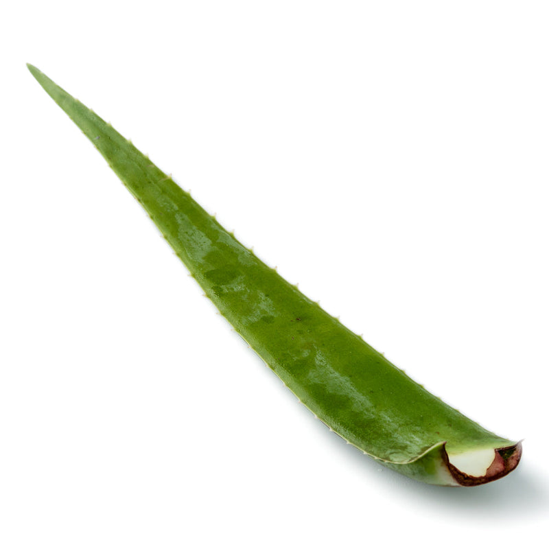 Aloe Vera Leaf Approx. 300g