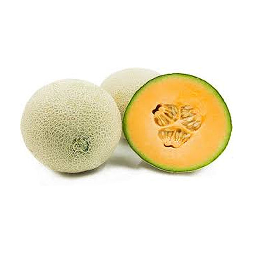 Melon Cantaloupe