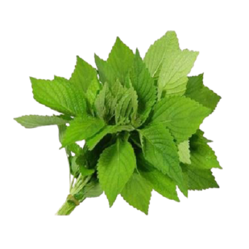 Saluyot Pack